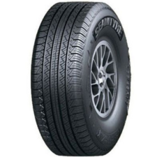 SEAM 205/80R16C (205R16C) 104S XL BIRDSTONE C698 - 2023 - Car Tire